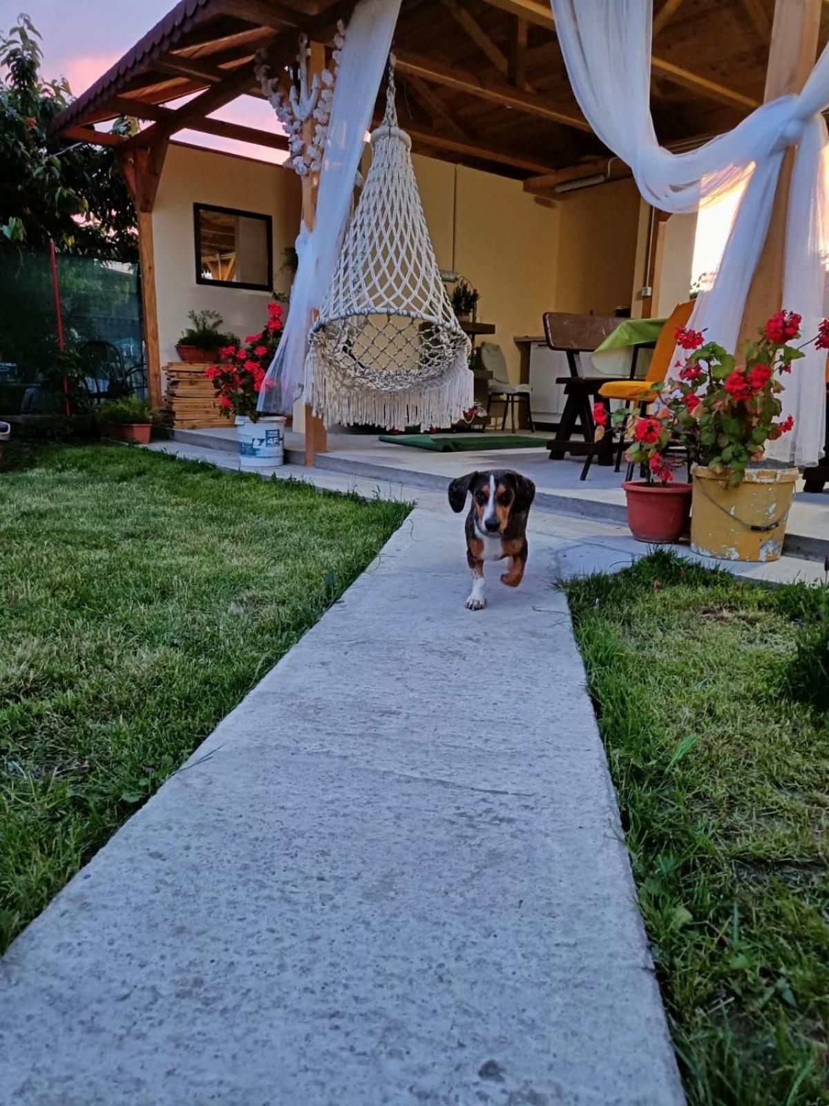 Отель Casa Enka Тузла Экстерьер фото